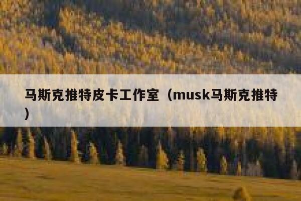马斯克推特皮卡工作室（musk马斯克推特） 第1张