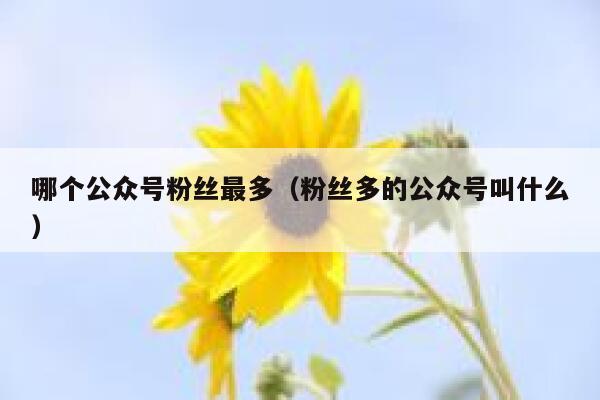 哪个公众号粉丝最多（粉丝多的公众号叫什么） 第1张