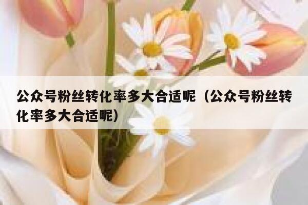 公众号粉丝转化率多大合适呢（公众号粉丝转化率多大合适呢） 第1张