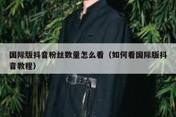 国际版抖音粉丝数量怎么看（如何看国际版抖音教程） 第1张