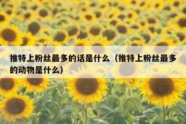 推特上粉丝最多的话是什么（推特上粉丝最多的动物是什么） 第1张