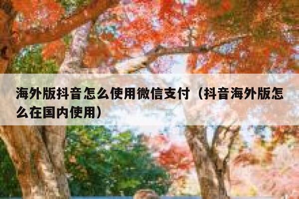 海外版抖音怎么使用微信支付(抖音海外版怎么在国内使用) 第1张 海外版抖音怎么使用微信支付(抖音海外版怎么在国内使用) 第1张