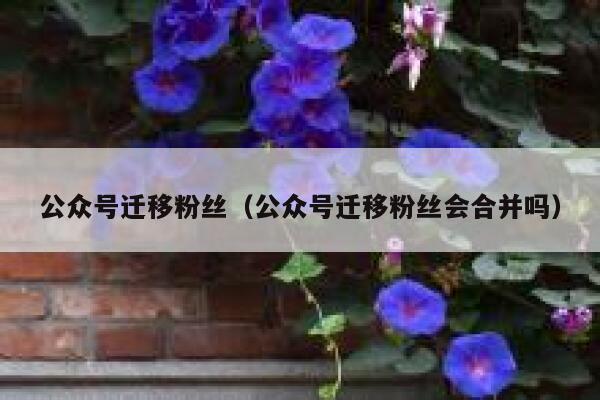 公众号迁移粉丝（公众号迁移粉丝会合并吗） 第1张