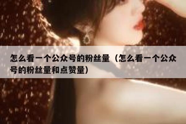 怎么看一个公众号的粉丝量（怎么看一个公众号的粉丝量和点赞量） 第1张