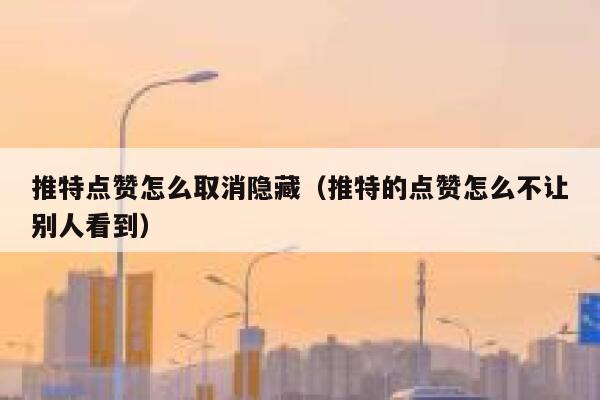 推特点赞怎么取消隐藏（推特的点赞怎么不让别人看到） 第1张