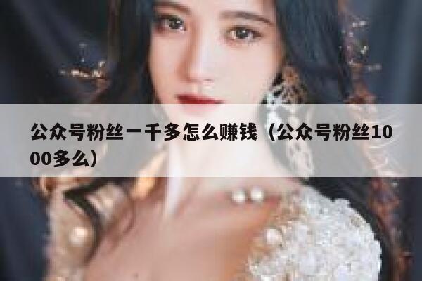 公众号粉丝一千多怎么赚钱（公众号粉丝1000多么） 第1张
