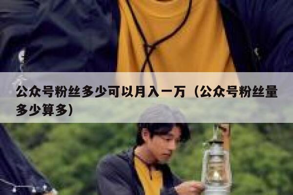 公众号粉丝多少可以月入一万（公众号粉丝量多少算多） 第1张