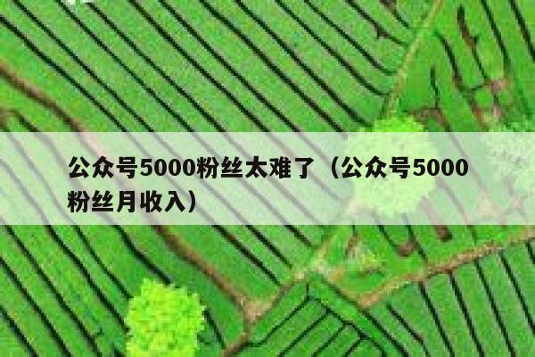 公众号5000粉丝太难了（公众号5000粉丝月收入） 第1张
