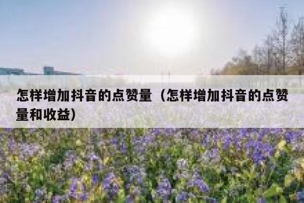 怎样增加抖音的点赞量（怎样增加抖音的点赞量和收益） 第1张