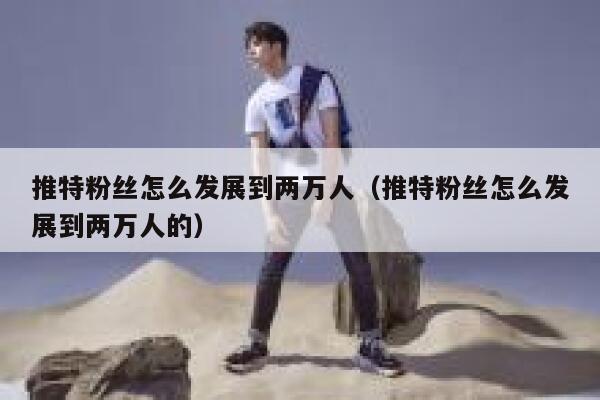 推特粉丝怎么发展到两万人（推特粉丝怎么发展到两万人的） 第1张