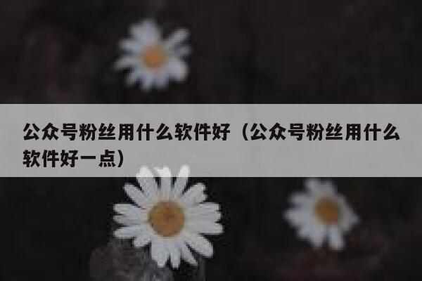 公众号粉丝用什么软件好（公众号粉丝用什么软件好一点） 第1张