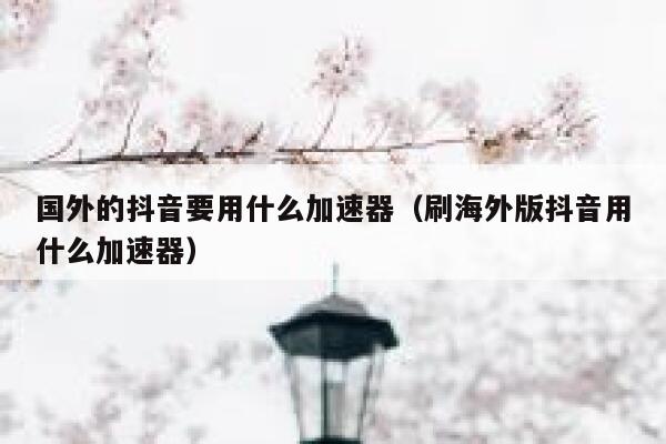 国外的抖音要用什么加速器（刷海外版抖音用什么加速器） 第1张