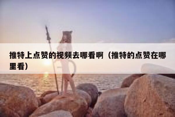 推特上点赞的视频去哪看啊（推特的点赞在哪里看） 第1张