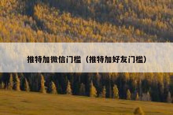 推特加微信门槛（推特加好友门槛） 第1张