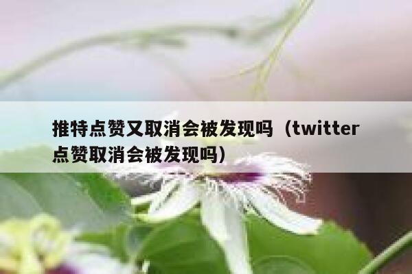 推特点赞又取消会被发现吗（twitter点赞取消会被发现吗） 第1张