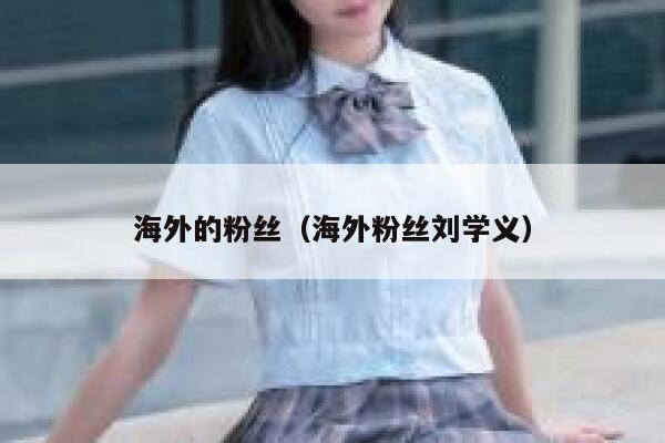 海外的粉丝（海外粉丝刘学义） 第1张