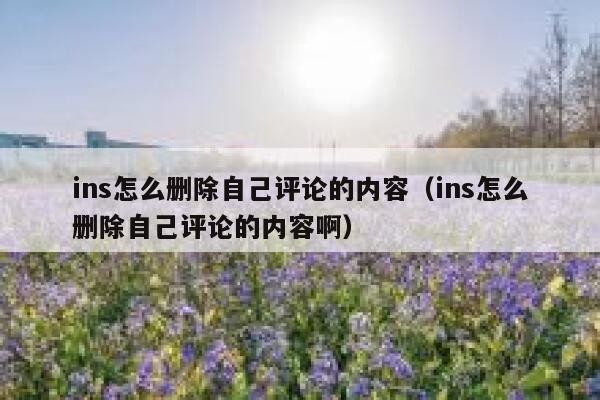ins怎么删除自己评论的内容(ins怎么删除自己评论的内容啊) 第1张 ins怎么删除自己评论的内容(ins怎么删除自己评论的内容啊) 第1张