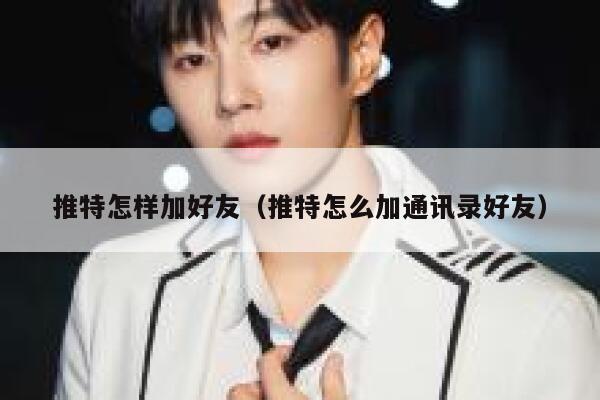 推特怎样加好友（推特怎么加通讯录好友） 第1张