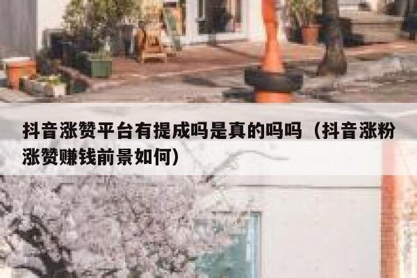 抖音涨赞平台有提成吗是真的吗吗(抖音涨粉涨赞赚钱前景如何) 第1张 抖音涨赞平台有提成吗是真的吗吗(抖音涨粉涨赞赚钱前景如何) 第1张