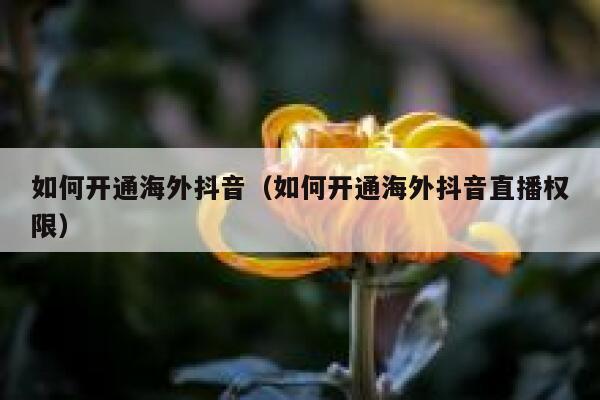 如何开通海外抖音（如何开通海外抖音直播权限） 第1张