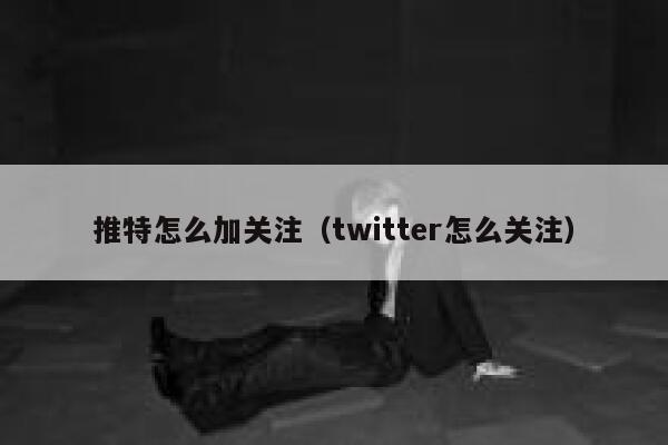 推特怎么加关注（twitter怎么关注） 第1张