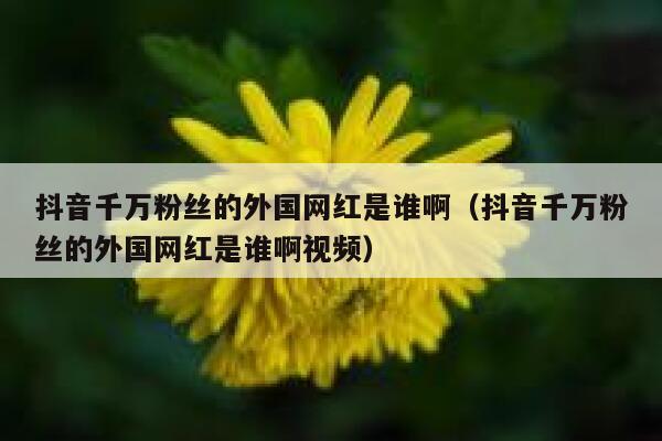 抖音千万粉丝的外国网红是谁啊(抖音千万粉丝的外国网红是谁啊视频) 第1张 抖音千万粉丝的外国网红是谁啊(抖音千万粉丝的外国网红是谁啊视频) 第1张