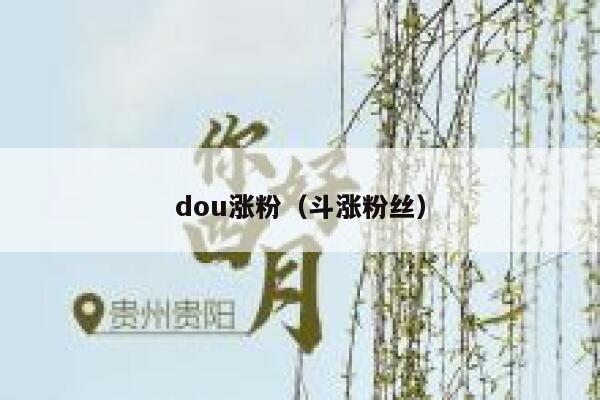 dou涨粉（斗涨粉丝） 第1张