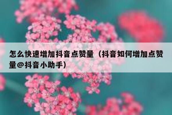 怎么快速增加抖音点赞量（抖音如何增加点赞量@抖音小助手） 第1张