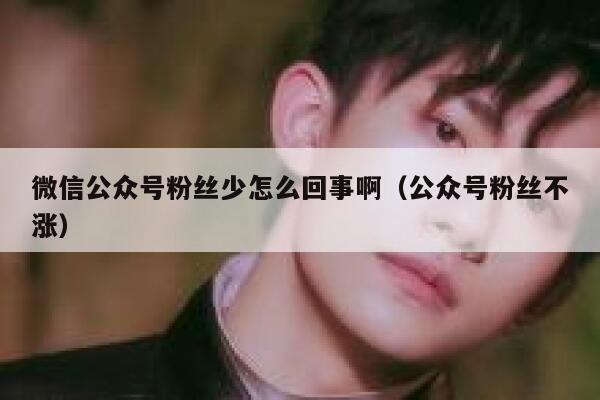 微信公众号粉丝少怎么回事啊（公众号粉丝不涨） 第1张