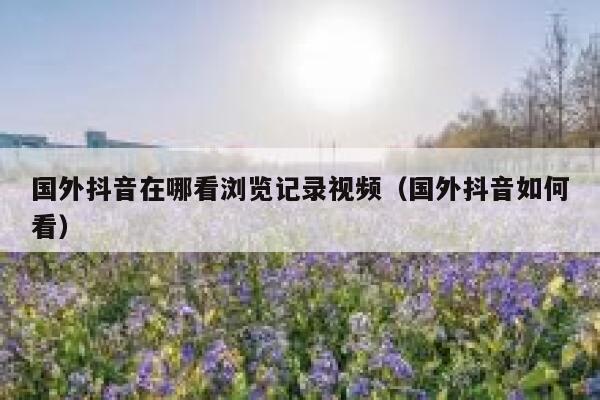 国外抖音在哪看浏览记录视频（国外抖音如何看） 第1张