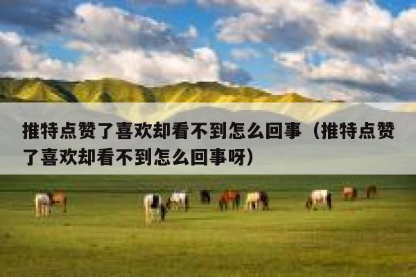 推特点赞了喜欢却看不到怎么回事（推特点赞了喜欢却看不到怎么回事呀） 第1张