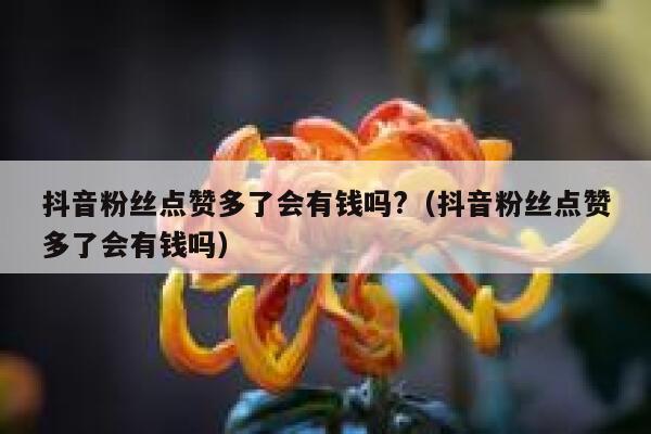 抖音粉丝点赞多了会有钱吗?(抖音粉丝点赞多了会有钱吗) 第1张 抖音粉丝点赞多了会有钱吗?(抖音粉丝点赞多了会有钱吗) 第1张