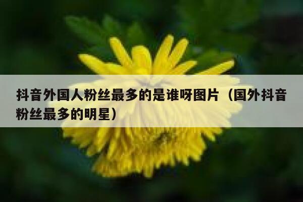 抖音外国人粉丝最多的是谁呀图片（国外抖音粉丝最多的明星） 第1张