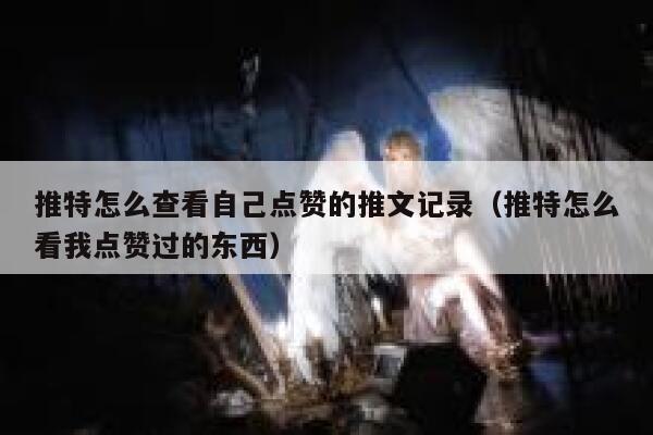 推特怎么查看自己点赞的推文记录（推特怎么看我点赞过的东西） 第1张