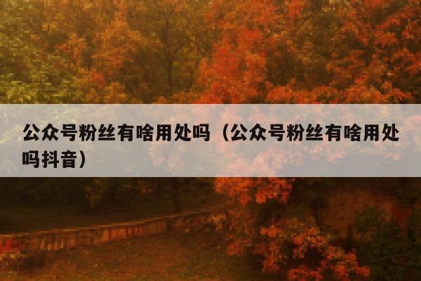 公众号粉丝有啥用处吗（公众号粉丝有啥用处吗抖音） 第1张