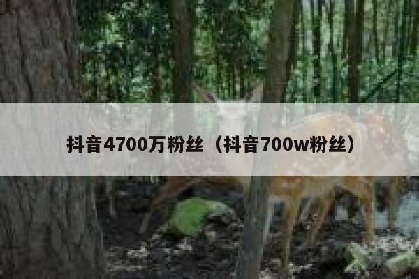 抖音4700万粉丝(抖音700w粉丝) 第1张 抖音4700万粉丝(抖音700w粉丝) 第1张