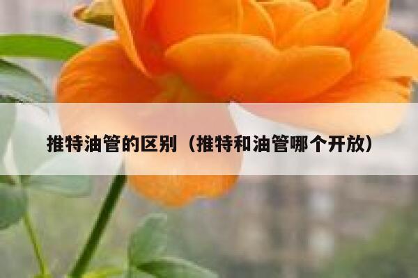 推特油管的区别（推特和油管哪个开放） 第1张