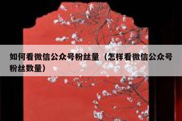 如何看微信公众号粉丝量（怎样看微信公众号粉丝数量） 第1张
