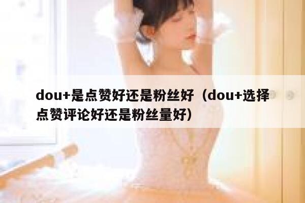 dou+是点赞好还是粉丝好（dou+选择点赞评论好还是粉丝量好） 第1张