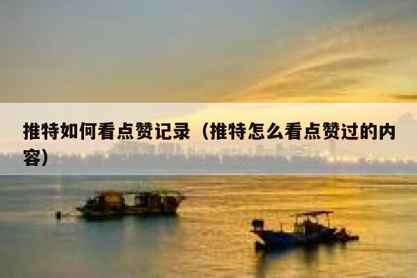 推特如何看点赞记录（推特怎么看点赞过的内容） 第1张