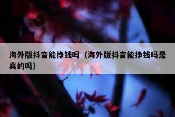 海外版抖音能挣钱吗（海外版抖音能挣钱吗是真的吗） 第1张