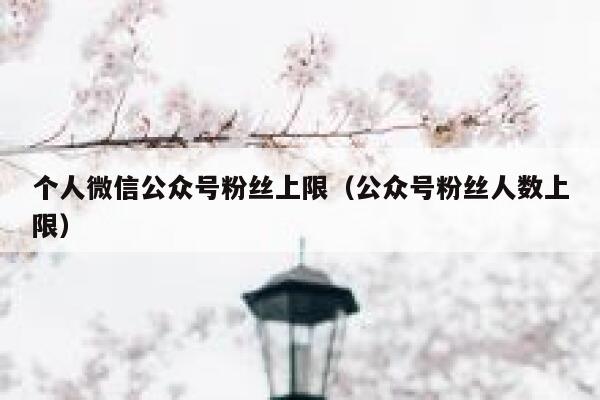 个人微信公众号粉丝上限(公众号粉丝人数上限) 第1张 个人微信公众号粉丝上限(公众号粉丝人数上限) 第1张