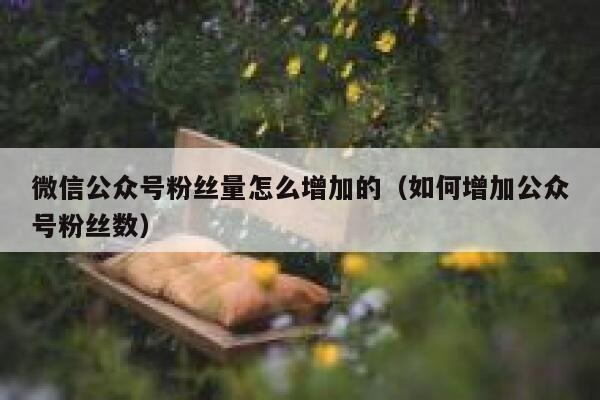 微信公众号粉丝量怎么增加的（如何增加公众号粉丝数） 第1张