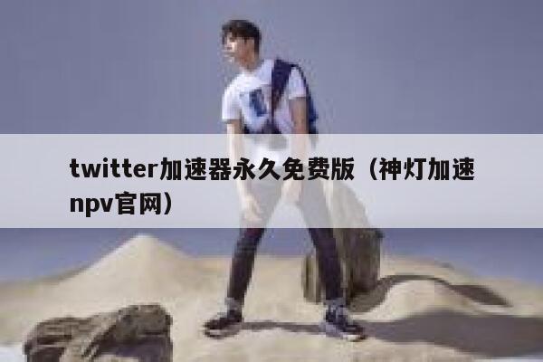 twitter加速器永久免费版（神灯加速npv官网） 第1张