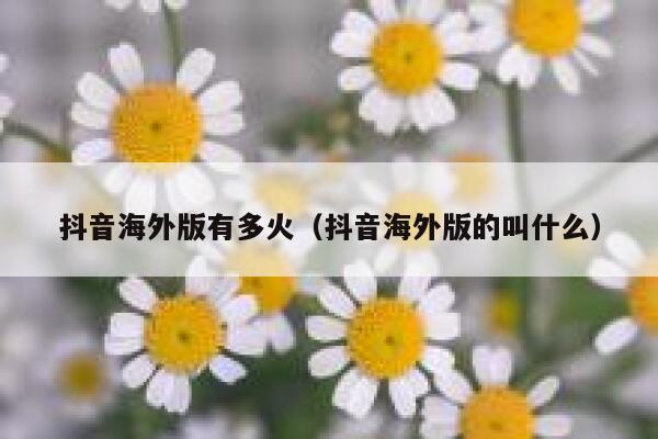 抖音海外版有多火（抖音海外版的叫什么） 第1张