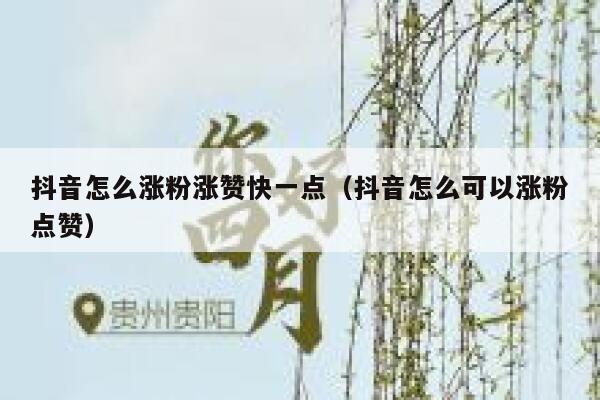抖音怎么涨粉涨赞快一点（抖音怎么可以涨粉点赞） 第1张