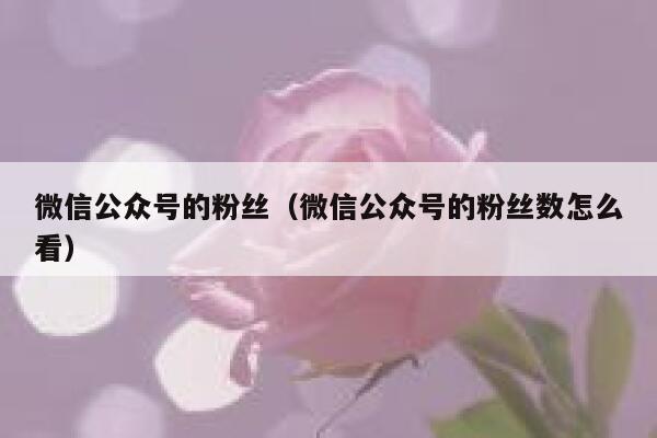 微信公众号的粉丝（微信公众号的粉丝数怎么看） 第1张