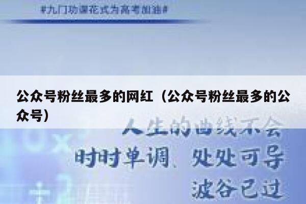 公众号粉丝最多的网红（公众号粉丝最多的公众号） 第1张