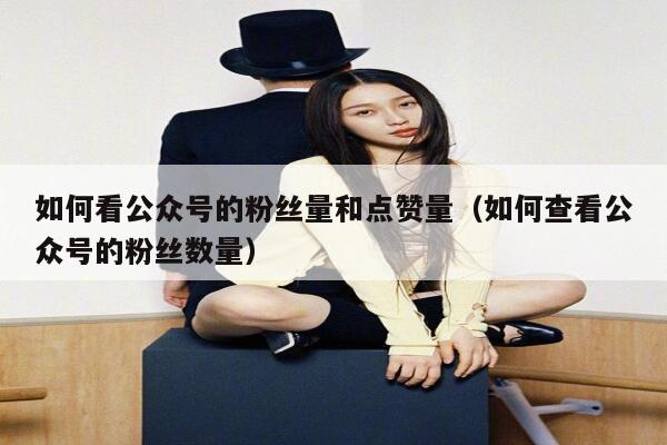 如何看公众号的粉丝量和点赞量（如何查看公众号的粉丝数量） 第1张