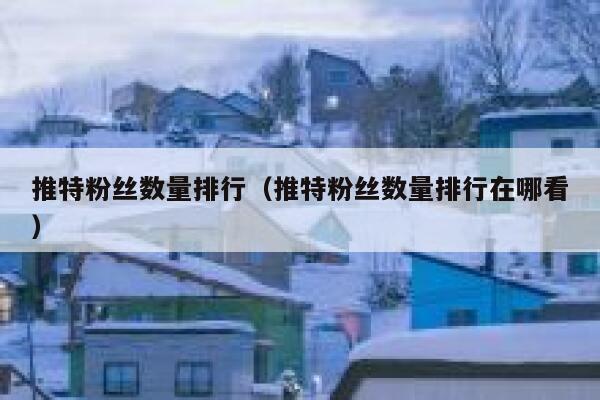 推特粉丝数量排行（推特粉丝数量排行在哪看） 第1张